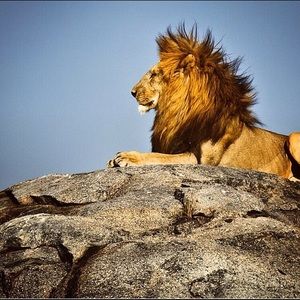 Meet your Posher, Jo